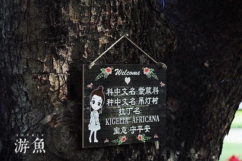 救援可爱的小丑